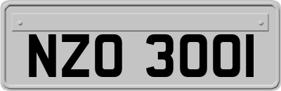 NZO3001