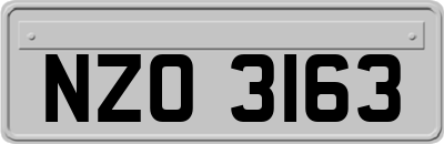 NZO3163