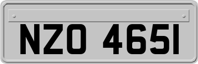 NZO4651