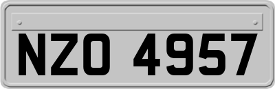 NZO4957