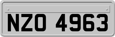 NZO4963