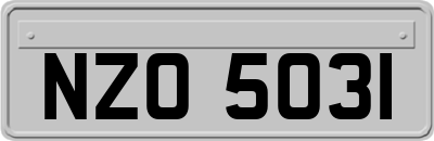 NZO5031