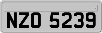NZO5239