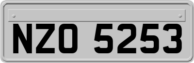NZO5253