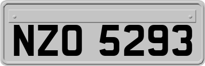 NZO5293