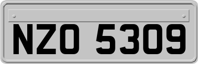 NZO5309