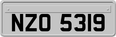 NZO5319