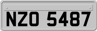 NZO5487