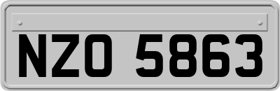 NZO5863