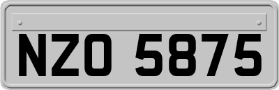 NZO5875