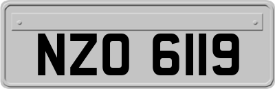 NZO6119
