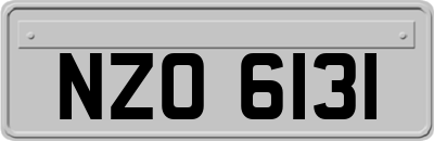 NZO6131