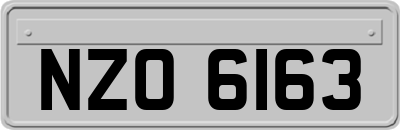 NZO6163