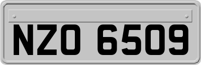NZO6509