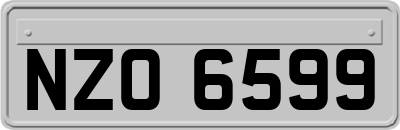 NZO6599
