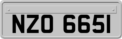 NZO6651