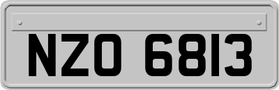 NZO6813