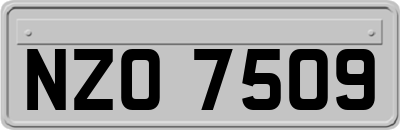 NZO7509