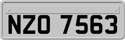 NZO7563