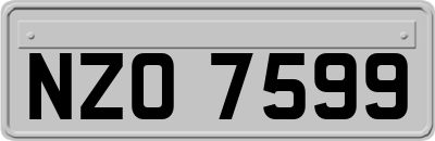 NZO7599