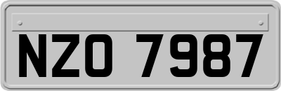 NZO7987