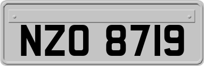 NZO8719