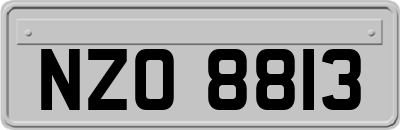 NZO8813