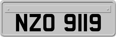 NZO9119