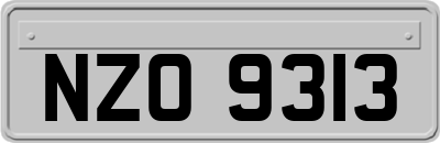 NZO9313