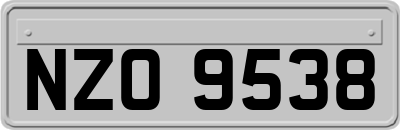 NZO9538