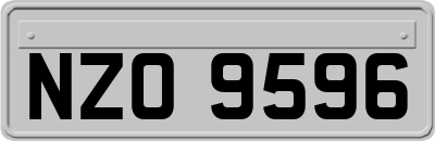 NZO9596