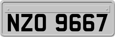 NZO9667