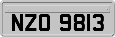 NZO9813
