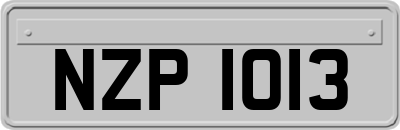 NZP1013