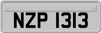 NZP1313