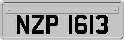 NZP1613