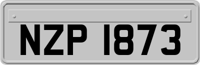 NZP1873