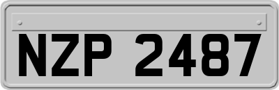 NZP2487