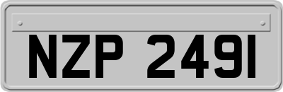 NZP2491