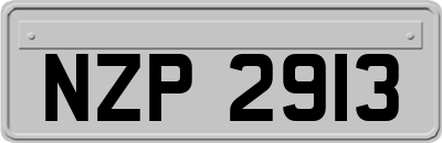 NZP2913