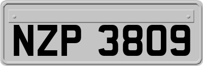 NZP3809