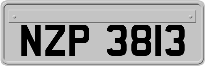 NZP3813