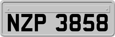 NZP3858