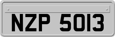 NZP5013