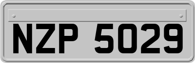 NZP5029