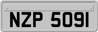 NZP5091