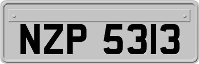 NZP5313