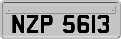 NZP5613