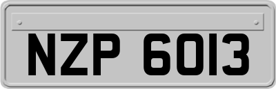 NZP6013