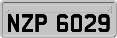 NZP6029